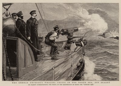 スカアロ沖の北海でのドイツ皇帝の捕鯨クルーズ 作： Charles J. Staniland